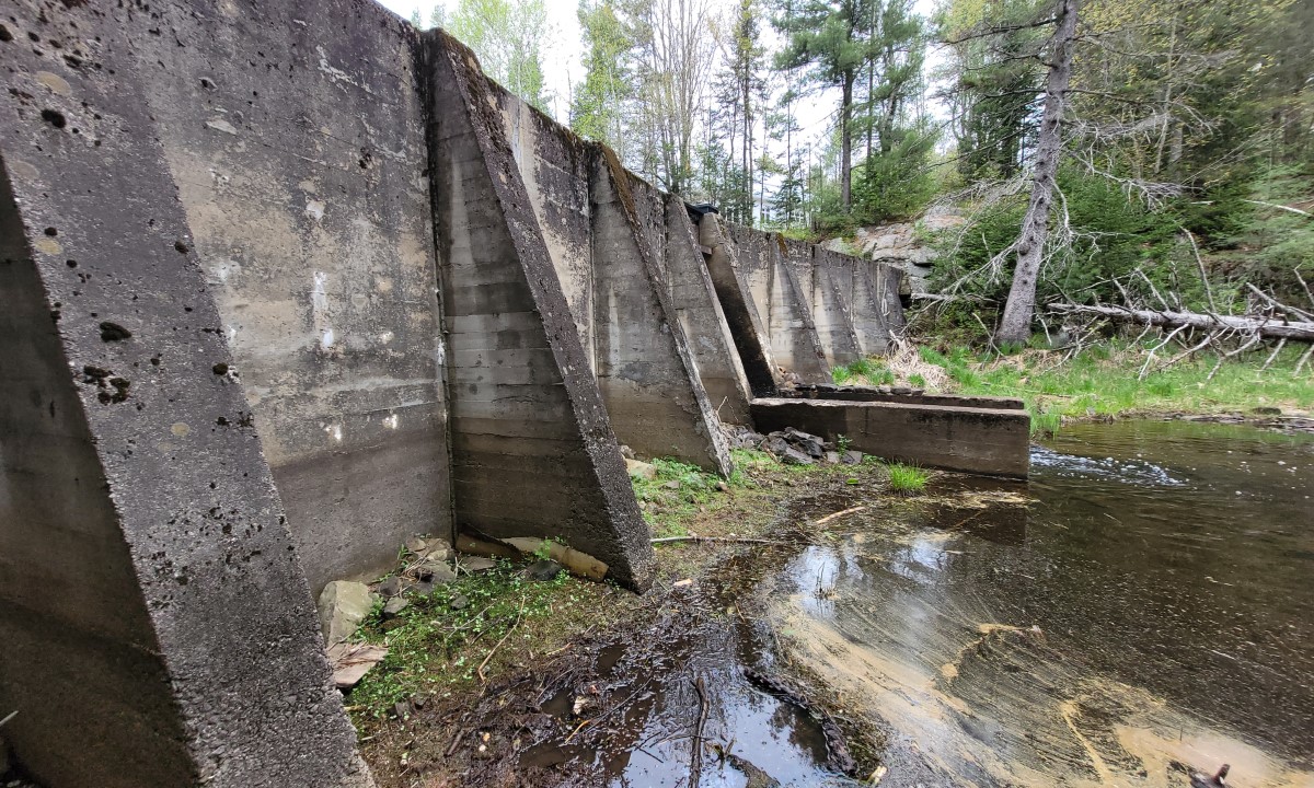 Mur en béton d’un barrage ancien visible en bord de cours d’eau, intégré dans un environnement forestier  à Dollard-des-Ormeaux