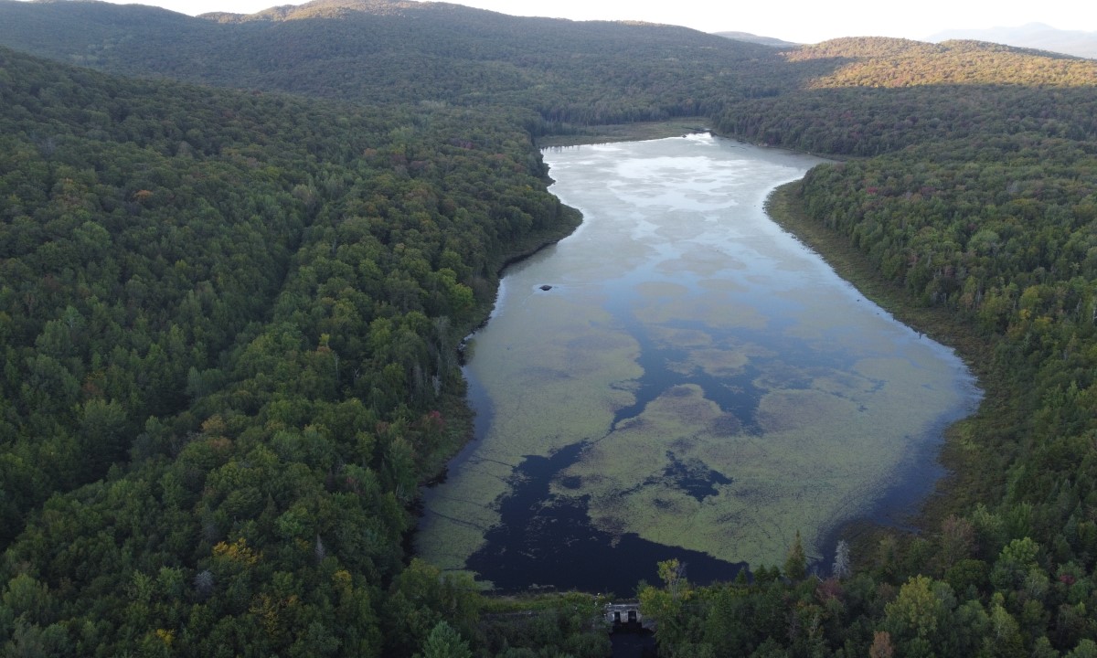 Véhicules de service stationnés lors de travaux d’installation de gouttières à Saint-Léonard